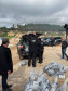 PCPR incinera maior carga de cocaína já apreendida em Curitiba 