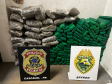 Ação entre PMPR, PCPR e PF apreende meia tonelada de maconha em Foz do Iguaçu 