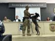 PCPR forma sete condutores em Curso de Operações Policiais com Cães