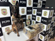 PCPR e PMPR apreendem quase 150 toneladas de drogas com apoio de cães em 2025