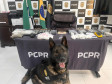 PCPR e PMPR apreendem quase 150 toneladas de drogas com apoio de cães em 2025