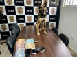 PCPR prende duas pessoas durante cumprimento de mandado de busca e apreensão em Antonina