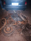PCPR prende 10 pessoas em flagrante por furto de cabos de cobre em Toledo