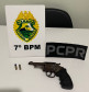 PCPR e PMPR prendem homem em flagrante posse irregular de arma de fogo e munição em Tapejara