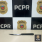 PCPR prende mulher em flagrante por lesão corporal e ameaça em Icaraíma