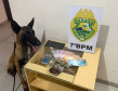 PCPR e PMPR prendem quatro pessoas durante ação contra o tráfico de drogas em Goioerê 