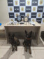 PCPR e GCM prendem prendem homem em flagrante por tráfico de drogas em Ponta Grossa 