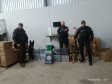 PCPR apreende 150 quilos de maconha durante ação em Cascavel 