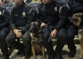 PCPR inspira criação de data oficial em homenagem aos cães operacionais da segurança pública 