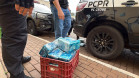 PCPR incinera mais de 500 quilos de drogas apreendidas em Cascavel
