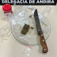 PCPR prende casal em flagrante por tráfico de drogas e associação para o tráfico em Andirá