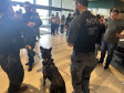 PCPR leva campanha de prevenção às drogas ao Jockey Plaza Shopping