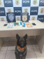 PCPR e GCM prendem dois homens por tráfico de drogas e associação ao tráfico de drogas em Ponta Grossa