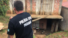 PCPR recupera cão em situação de maus-tratos no Pilarzinho