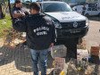 PCPR recupera 11 pássaros mantidos em cativeiro e prende homem por maus-tratos em Curitiba