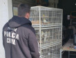 PCPR prende suspeito por maus-tratos de animais em Colombo
