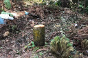 PCPR realiza ações de combate ao crime ambiental e prende quatro pessoas em ações diversas