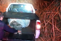 PCPR apreende 90 quilos de maconha em Santa Terezinha de Itaipu