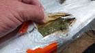 PCPR apreende cerca de 7,7 toneladas de maconha em quatro dias
