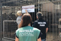 PCPR interdita aviário com 167 animais em situação de maus-tratos na RMC