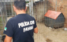 PCPR fecha canil clandestino e resgata animais em situação de maus-tratos na RMC