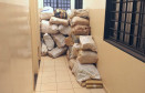 PCPR apreende 1,3 tonelada de maconha em MS