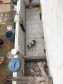 PCPR autua médica veterinária suspeito de maus-tratos a animais em Curitiba