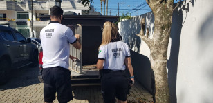 policiais civis e viatura