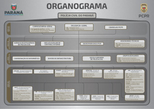 Organograma