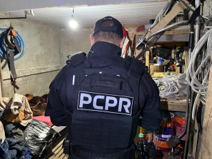 PCPR prende 13 suspeitos por esquema de distribuidoras de fachada para venda de drogas em Araucária