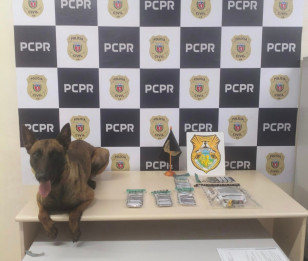 PCPR e GCM apreendem cerca de 400 gramas de crack em Ponta Grossa