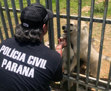 Policial brinca com cães por entre as grades de um portão