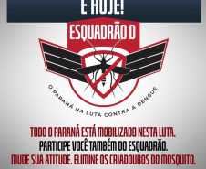 Campanha de prevenção e combate à dengue