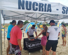 Operação Verão Maior