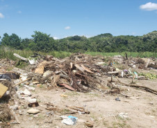 Lixo descarregado em área de preservação.