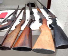 Armas apreendidas 