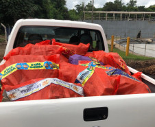 Drogas embaladas no interior de carroceria de veículo