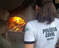 Policial civil observa drogas sendo incineradas