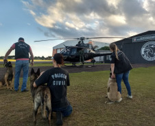 Policiais civis e cães policiais em treinamento com aeronave 