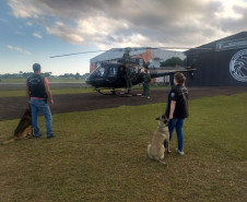 Policiais civis e cães policiais em treinamento com aeronave 