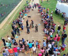 Imagem aérea mostrando apresentação com cães da polícia civil ao público