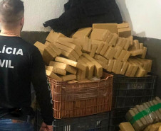 Policial civil em frente à dezenas de tabletes de drogas