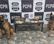 Mesa com drogas e dinheiro apreendidos entre dois cães farejadores