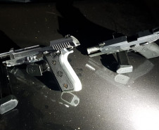 Duas armas apreendidas.