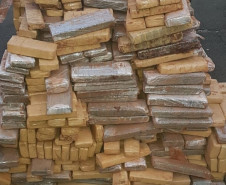 Centenas de tabletes de droga apreendida