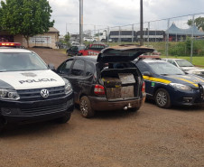 PCPR e PRF apreendem cerca de 240 quilos de maconha em Lindoeste