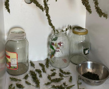Potes de vidro, tigela e galhos de maconha em prateleira