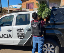 Policial recolhendo em viatura material apreendido
