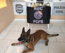 Cão farejador sentado no chão e materiais apreendidos, sobre uma mesa