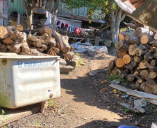 Dezenas de toras de madeiras empilhadas em um terreno
